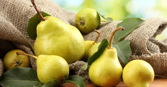 Armudun müalicəvi xüsusiyyətlərindən siz də xəbərdar olun