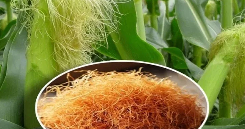 Qaraciyər və öd kisəsini bərpa edən 3 içki Evdə hazırlayın
