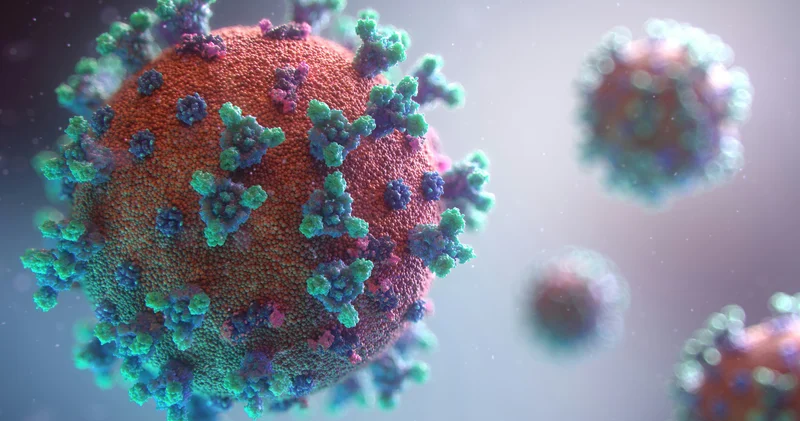 Təhlükəli virus şimala doğru yayılır, 130 nəfər ölüb Avropada HƏYƏCAN