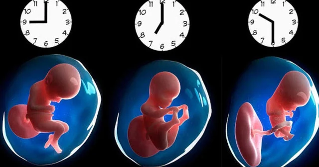 Doğulduğunuz saatın gələcək həyatınıza BİLMƏDİYİNİZ TƏSİRİ