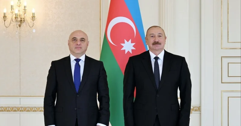 Prezident Gürcüstanın yeni səfirini qəbul etdi FOTO
