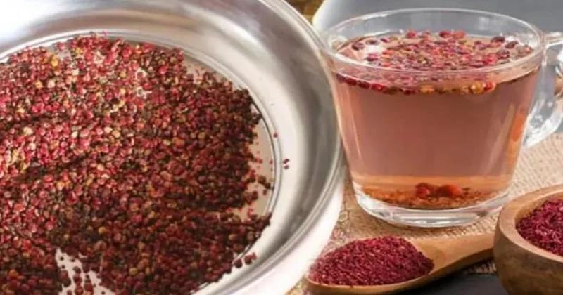 İBN SİNANIN SAĞLAMLIQ MƏSLƏHƏTİ: 7 gün ərzində sumaq suyu içsəniz...