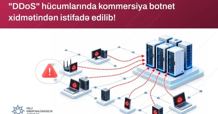 Azərbaycan informasiya resurslarına kütləvi KİBERHÜCUM: Məsuliyyəti “313 Team” üzərinə götürdü