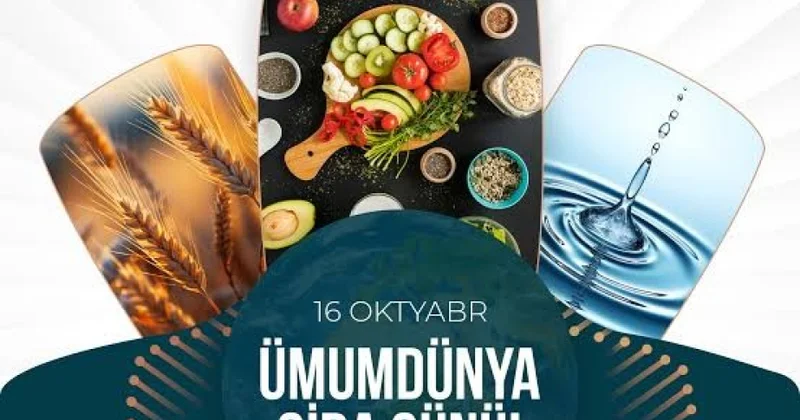 Oktyabrın 16 sı Ümumdünya Qida Günüdür