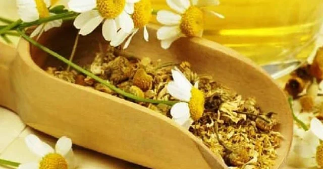 Arıqlama çaylarının bu təsirlərini bilirsiniz?