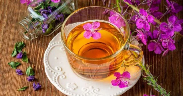KİŞİ OTU çayı. Prostatit, adenoma, cinsi gücünün azalmasında içilir