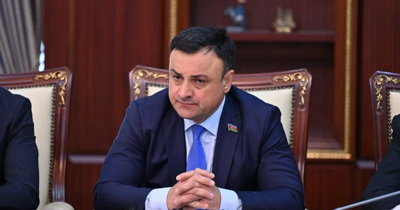 Füzuli azadlığın iqtisadi dəyərə çevrildiyi inkişaf modeli