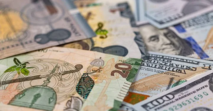 Manatın taleyi ilə bağlı 4 illik PROQNOZ AÇIQLANDI