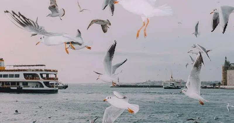 İstanbulun emosional və sosial mənzərəsini araşdıran fotolar dərc olundu