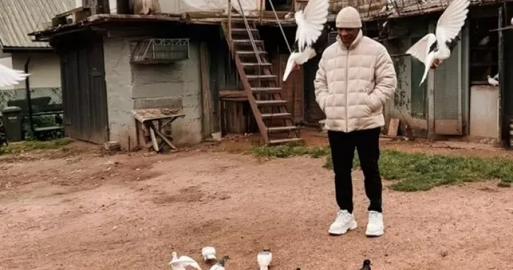 Mayk Tayson göyərçin qalmaqalının iştirakçısı oldu
