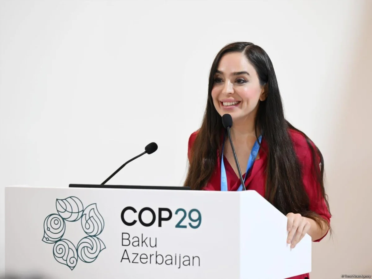Leyla Əliyeva Xəzər dənizinin mühafizəsinə dair dəyirmi masa müzakirələrində iştirak edib FOTO