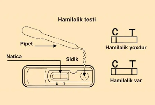 Hamiləlik testləri