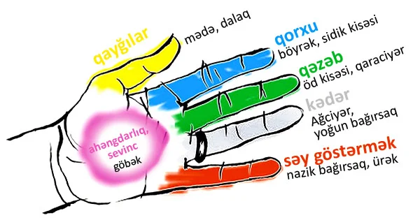 Barmaqlarınızı sıxmaqla bədəninizi rahatladacağınızı bilirsinizmi?