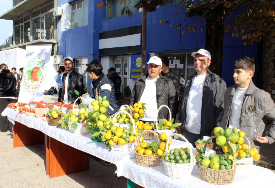 Lənkəranda Yaşıl Dünya Naminə Eko Festival keçirilib AZƏRTAC