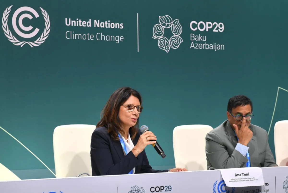 Представительница Бразилии: Достижение COP30 зависит от успеха COP29