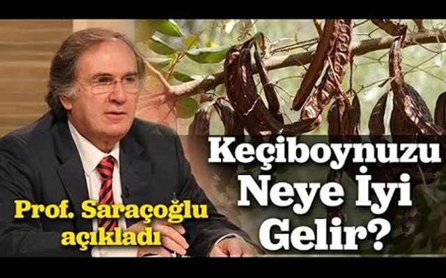 Keçibuynuzu bitkisinin MÖHTƏŞƏM FAYDALARI İbrahim Saraçoğludan resept / VİDEO