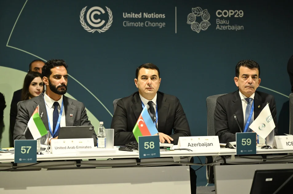 COP29 çərçivəsində Mədəniyyət Nazirlərinin 2ci Yüksək Səviyyəli Görüşü təşkil edilib FOTO Doğru Xəbərlər