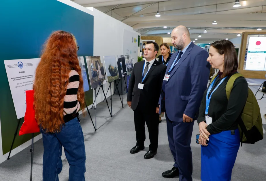 COP29 çərçivəsində Gilavar Foto Klubu Azərbaycanda mina qurbanlarına həsr olunan sərgi təşkil edib AZƏRTAC