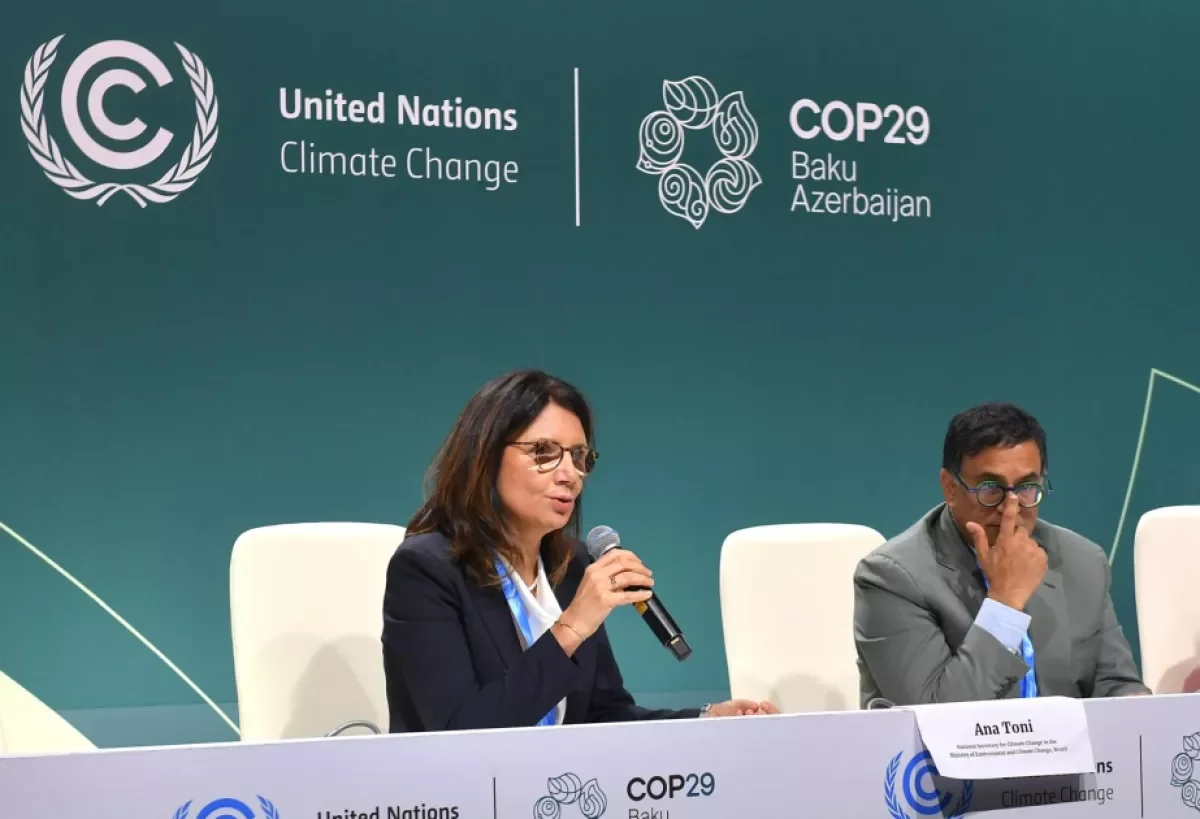 Представитель Бразилии: COP29 важный шаг к успеху COP30