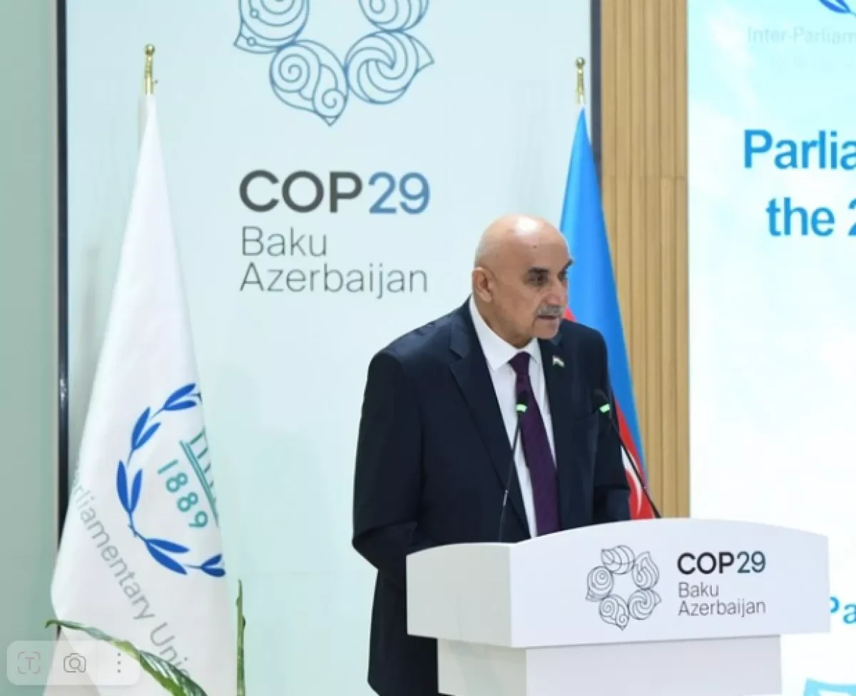 Спикер парламента Таджикистана: COP29 поможет укрепить сотрудничество в борьбе с изменением климата