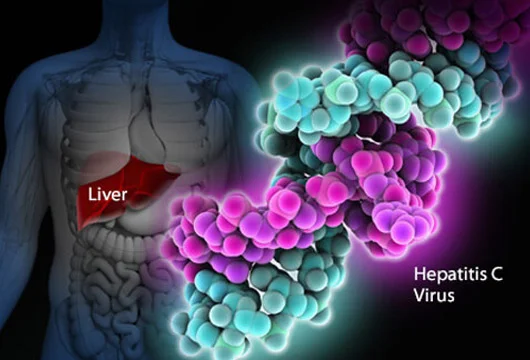 Hepatoloq: Hepatit C 3 aya tam müalicə olunur