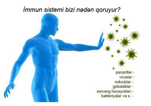 “İmmunitet” nədir?