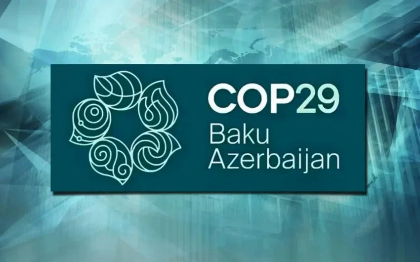 COP29: “İqlim Dəyişikliyinə Dayanıqlı Kiçik Orta Bizneslər” adlı tədbir keçirilib