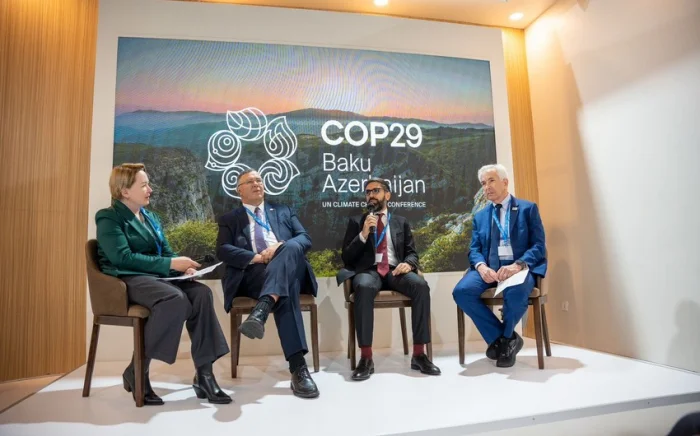 COP29 I Dekarbonizasiyanın sürətləndirilməsi müzakirə