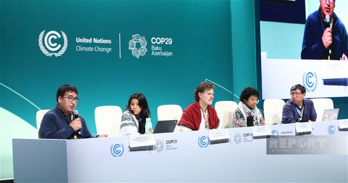 На COP29 обсудили проблему изменения климата в странах Латинской Америки Новости