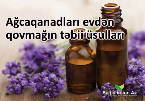 Ağcaqanadları evdən qovmağın təbii üsulları