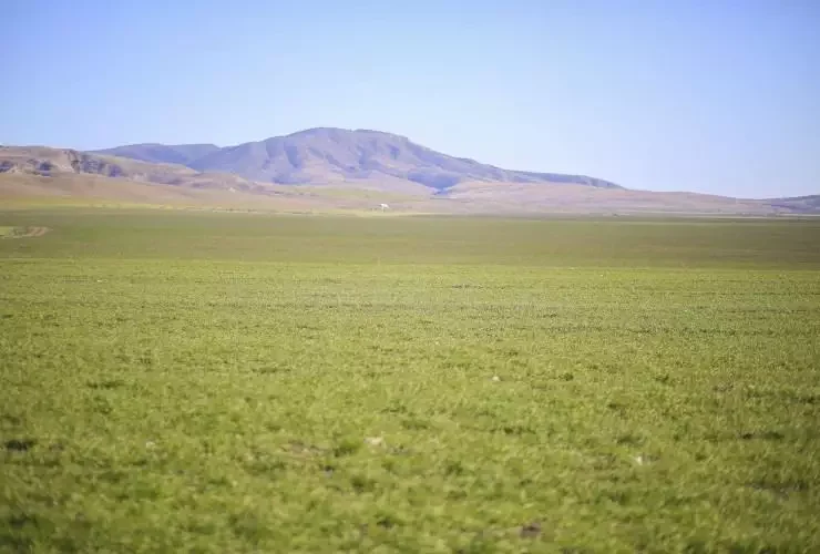 Füzulidə dövlət mülkiyyətinə aid torpaq sahəsi bərpa olunan enerji mənbələrinin ərazisi kimi istifadə ediləcək