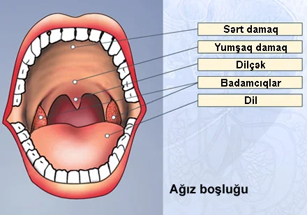 Ağız xərçəngi