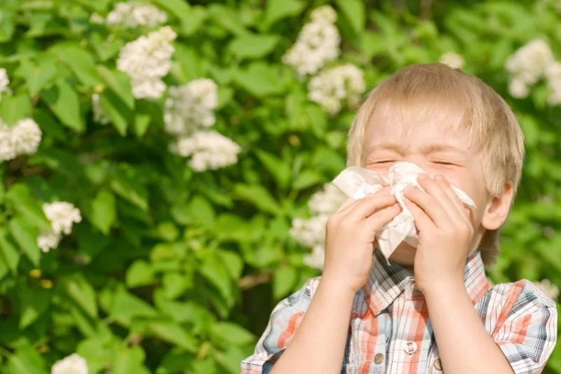 Pollinoz Yaz allergiyasına qarşı təbii çarə