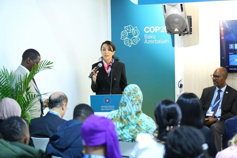 Ombudsman COP29da təşkil olunmuş yan tədbirdə iştirak etdi FOTOLAR