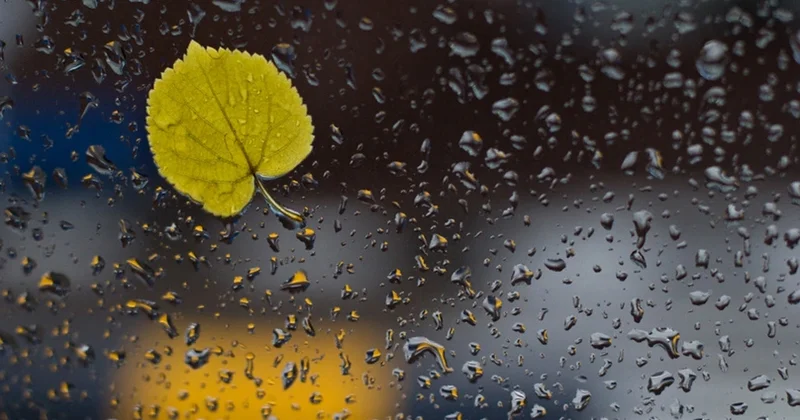 Bir sıra ərazilərə yağış yağıb FAKTİKİ HAVA