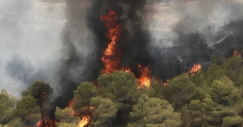 İranın Gülüstan meşələrində yanğın davam edir