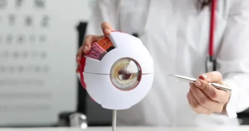 “Süni intellekt “insan kimi görməyi” öyrənib: mənanı anlamağa başlayır“ Elmi tədqiqat