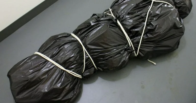 Ужасная гибель двух мужчин в Лянкяранском районе Minval Politika