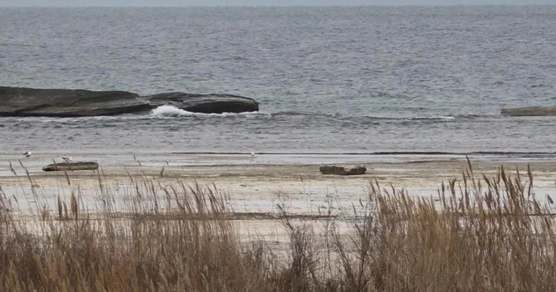 Площадь Каспия уменьшилась на 36 тысяч кв. км заявили в Казахстане