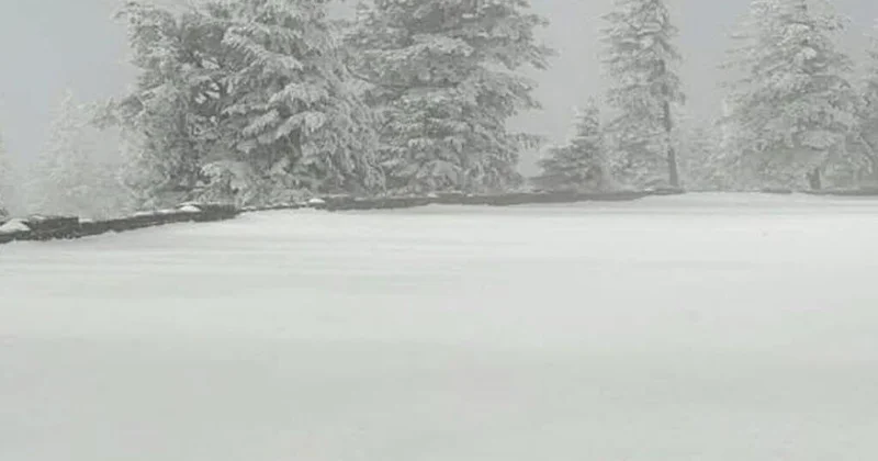 В Азербайджане выпал снег