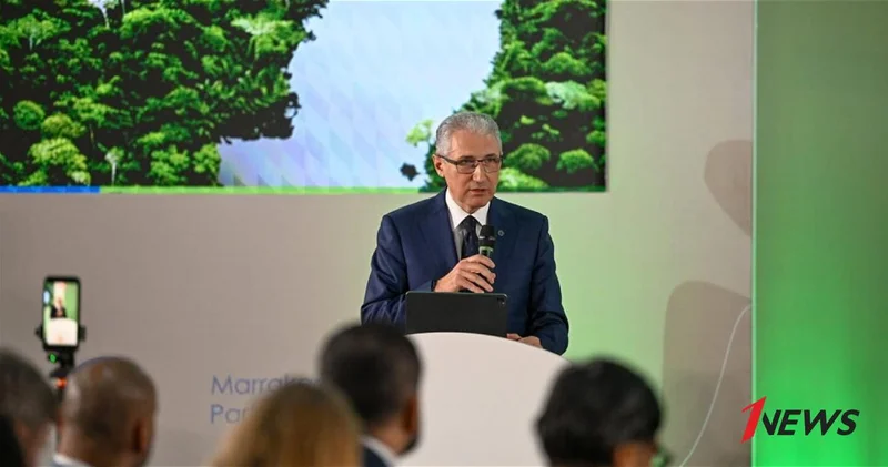 COP30: Президент COP29 призвал к достижению цели по климатическому финансированию в $1,3 трлн ФОТО