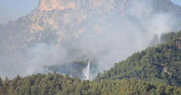 Пожар на границе Азербайджана и Армении ликвидирован после нескольких дней борьбы