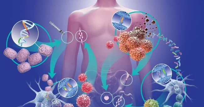 İmmunitet sistemi insana qarşı: SİRR ÇÖZÜLDÜ
