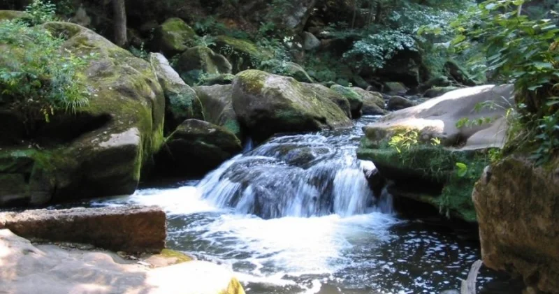 Dağ çaylarında qabaqlayıcı tədbirlər görülür