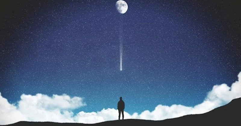 Yaradılışda təsadüf varmı?