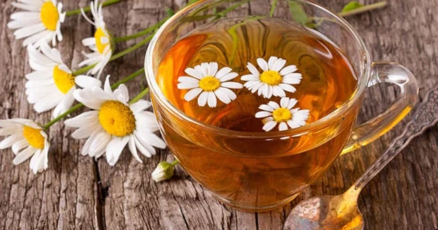 Avropada zəka bitkisi, Azərbaycanda isə kimsə tanımır