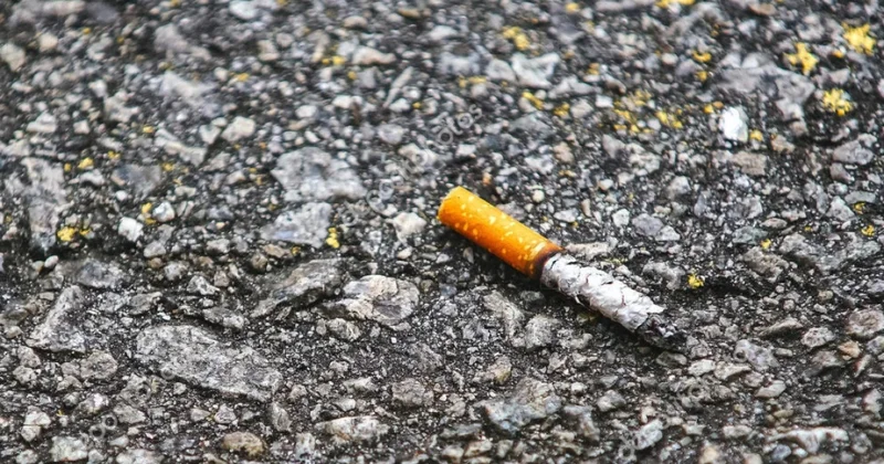 Брошенный окурок ценой в три тысячи