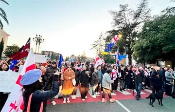 “Gürcüstanda iqtisadiyyatın bütün sektorları etiraz aksiyaları keçirir”