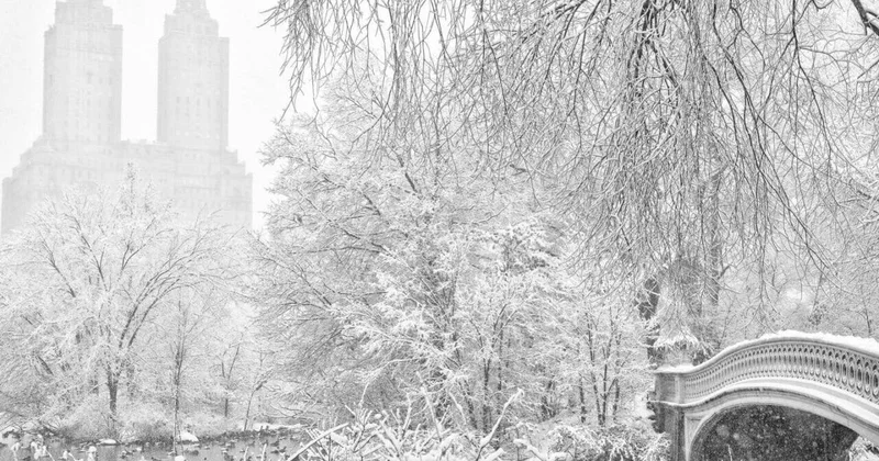 В США знаменитый парк завалило снегом ФОТО ВИДЕО