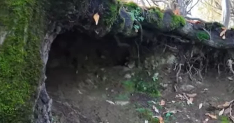 “Babək qalası“ adlandırılan QƏDİM TİKİLİDƏ arxeoloji qazıntı işləri aparılacaq? VİDEO